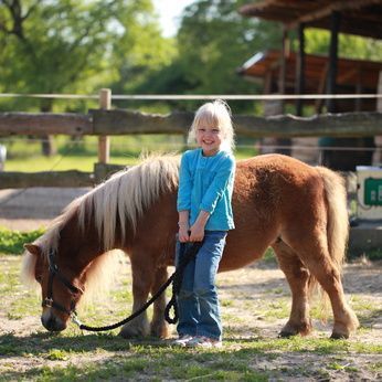 kleines Mädchen mit einem Pony