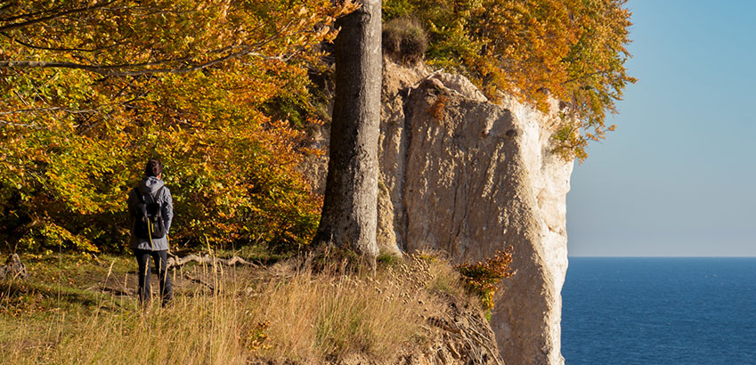 Herbstwanderungen im Jasmund Nationalpark