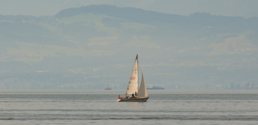 Sommerurlaub Bodensee - Boote auf dem See