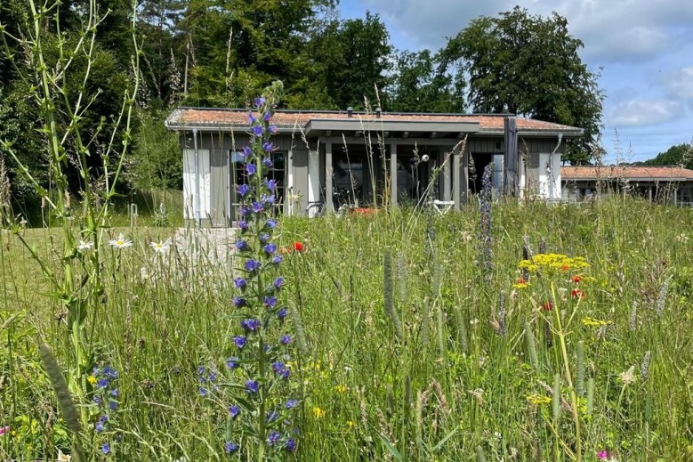 30 Rügener Traumzeit / Feriendorf Klein Stresow