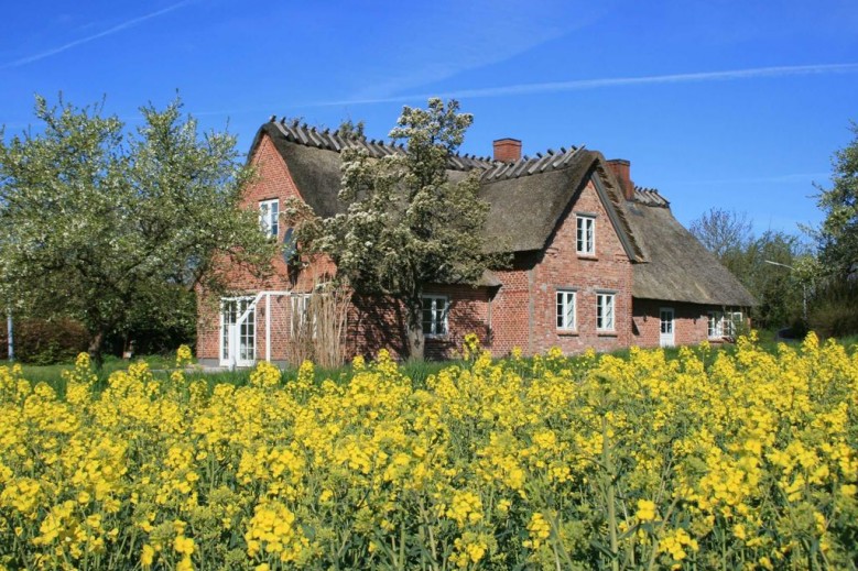 Altes Schusterhus