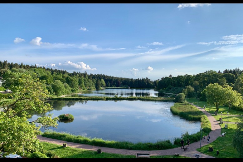 Apartment Seeblick am Bocksberg