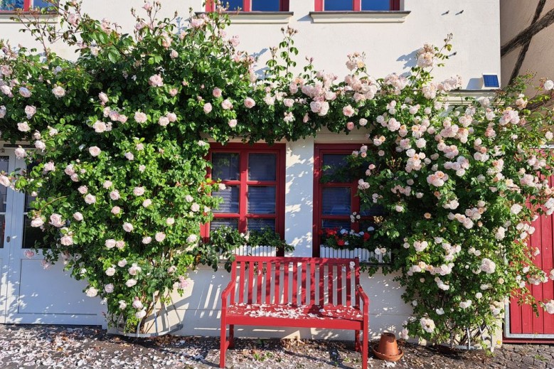 Appartement im Zentrum von Malchow