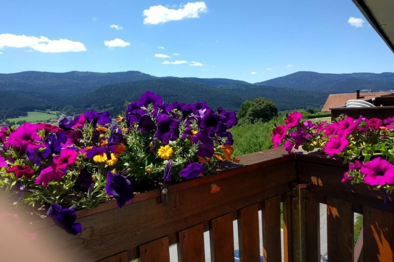 Appartements im Himmelreich - Himmlische Ferien