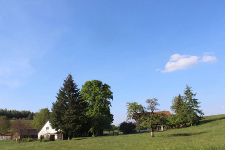 Auszeit auf dem Lindenhof