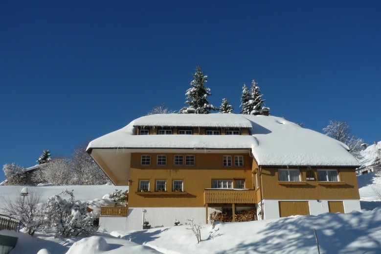 Berghof Almzeit - Fewo 