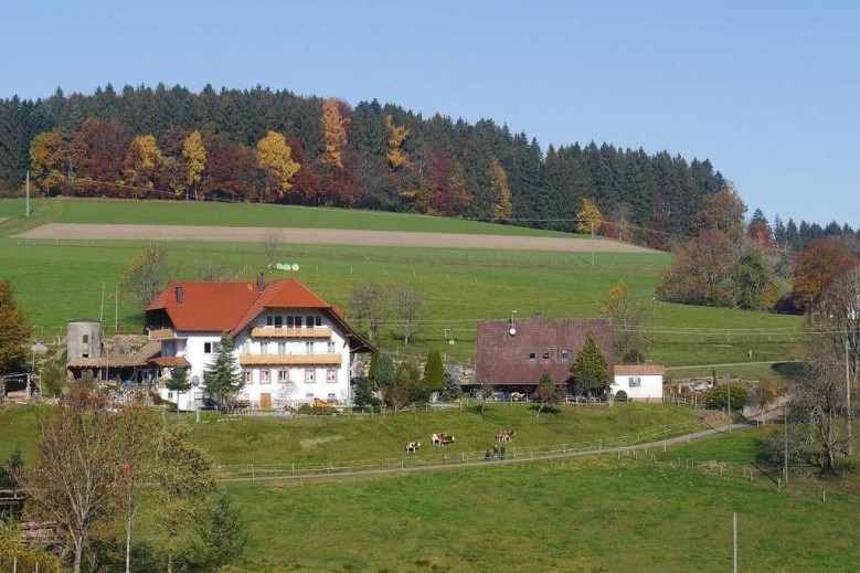 Dischhof