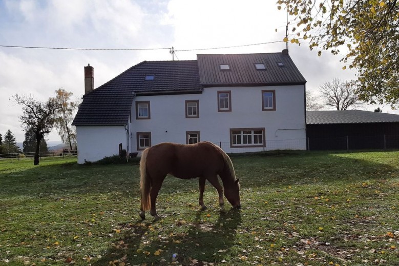 Eifel Ferienhaus Rodershausen