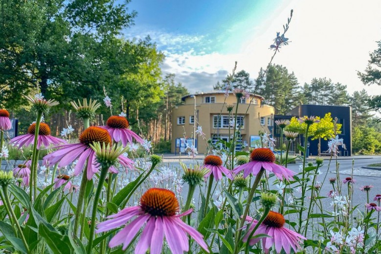 Familienpark Senftenberger See