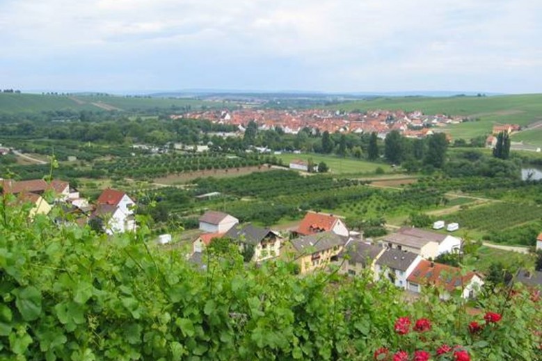 Ferien- und Winzerhof Ute Braun