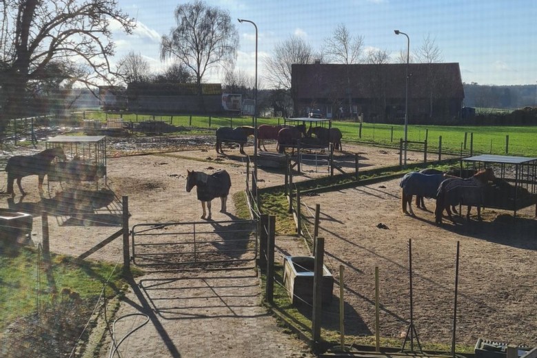 Ferien auf dem Lande