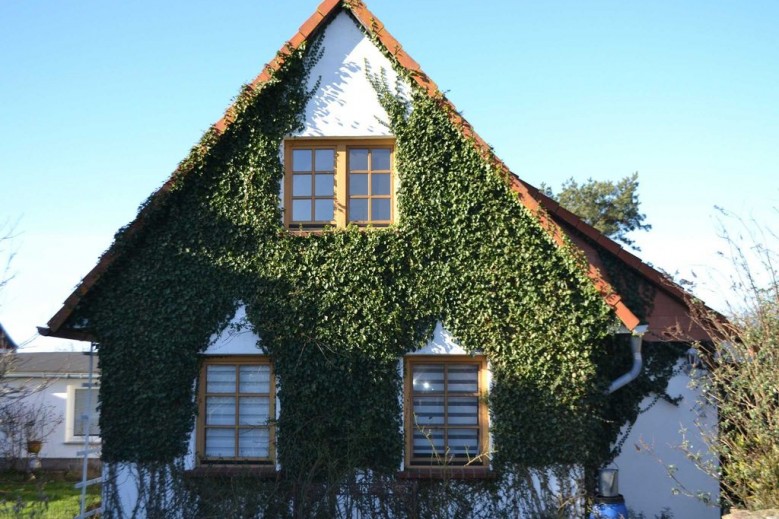 Ferienhaus Butje