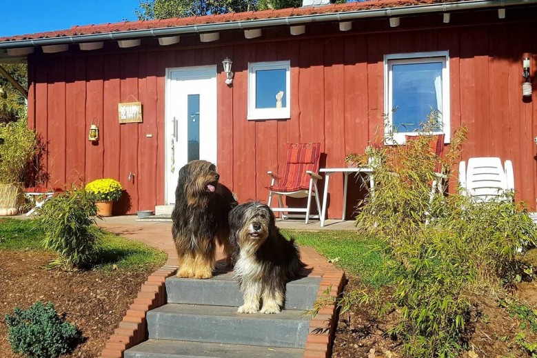 Ferienhaus Im Bambuswald