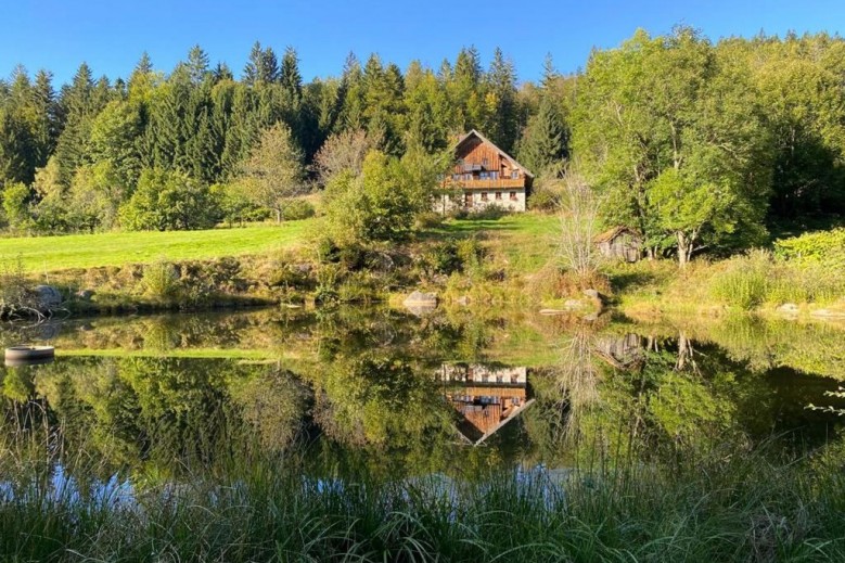 Ferienhaus Klause