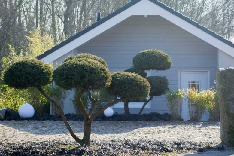 Ferienhaus Strandläufer