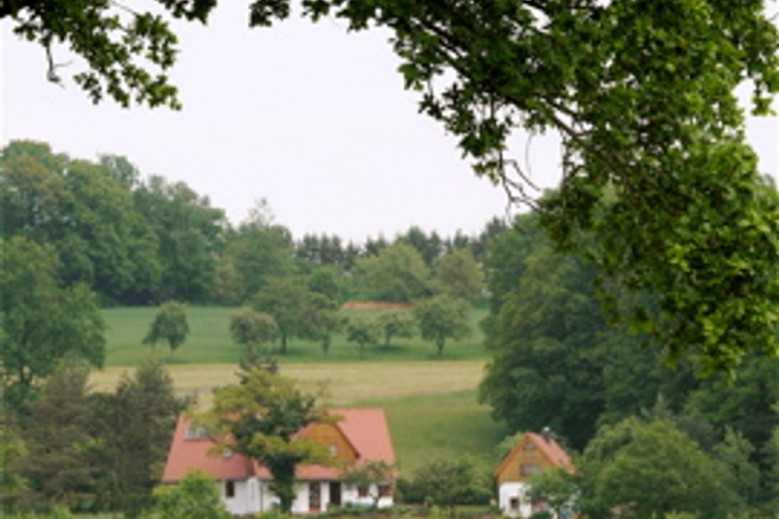 Ferienhaus Waldesruh