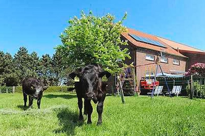 Ferienhof Janssen in Westerholt