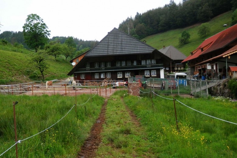 Ferienwohnung am Belchen