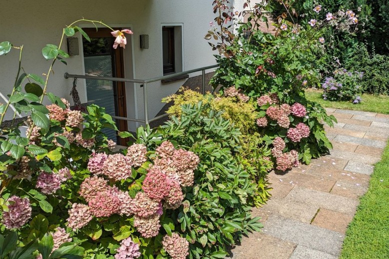 Ferienwohnung Am Ginkgobaum