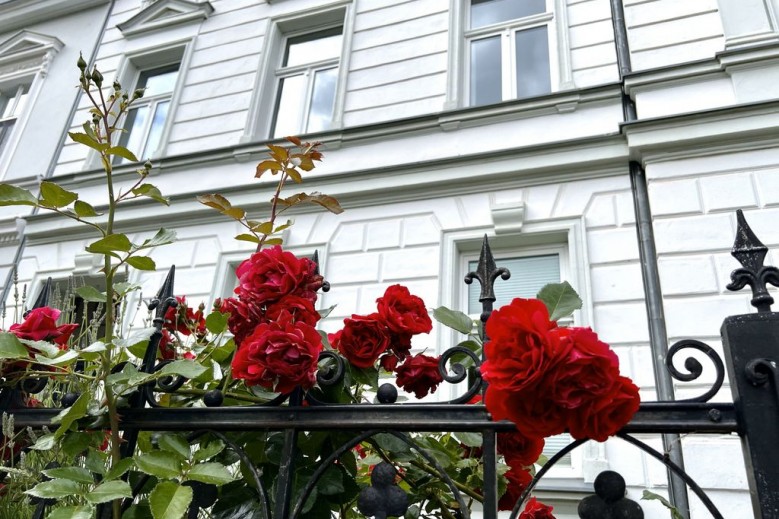 Ferienwohnung am Theater Haus Olaf Palme 1