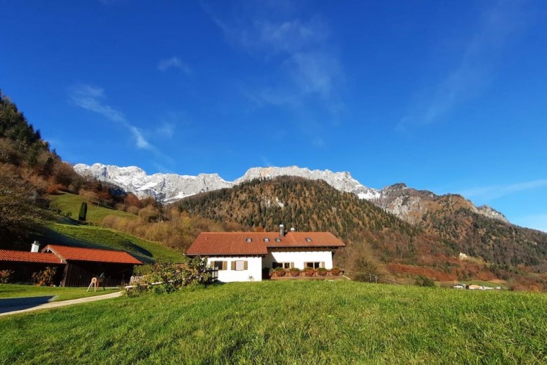 Ferienwohnung Feichtlgütl