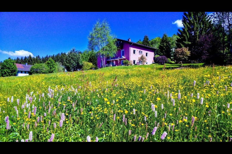 Ferienwohnung für 2 Personen ca. 40 qm in Neureichenau, Bayern (Bayeri