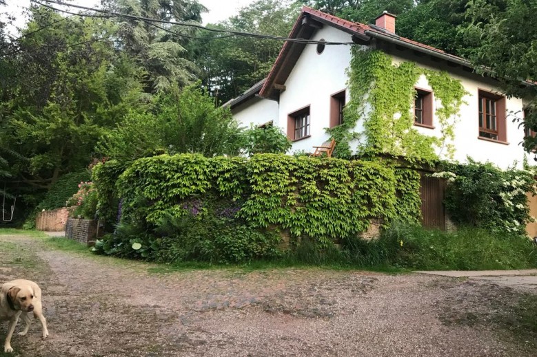 Ferienwohnung Grün und Aussichtsreich