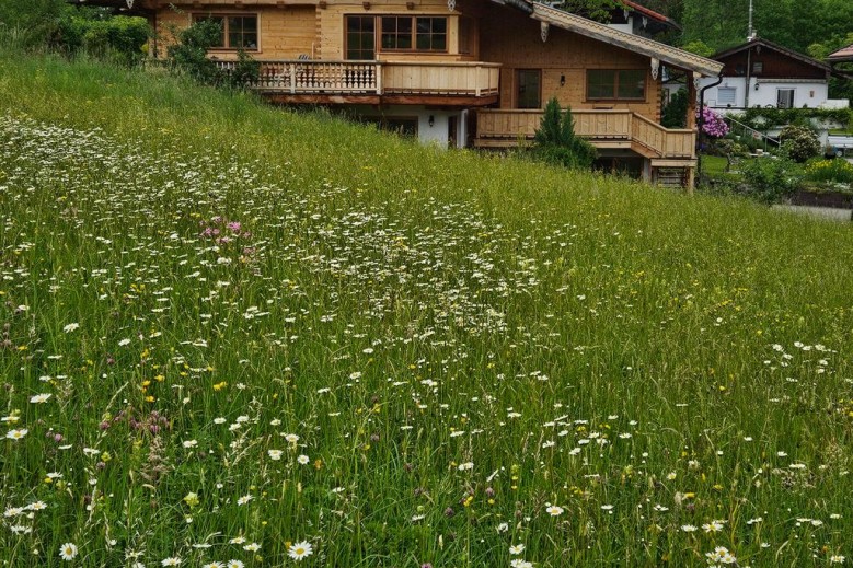 Ferienwohnung Hallweger Veronika