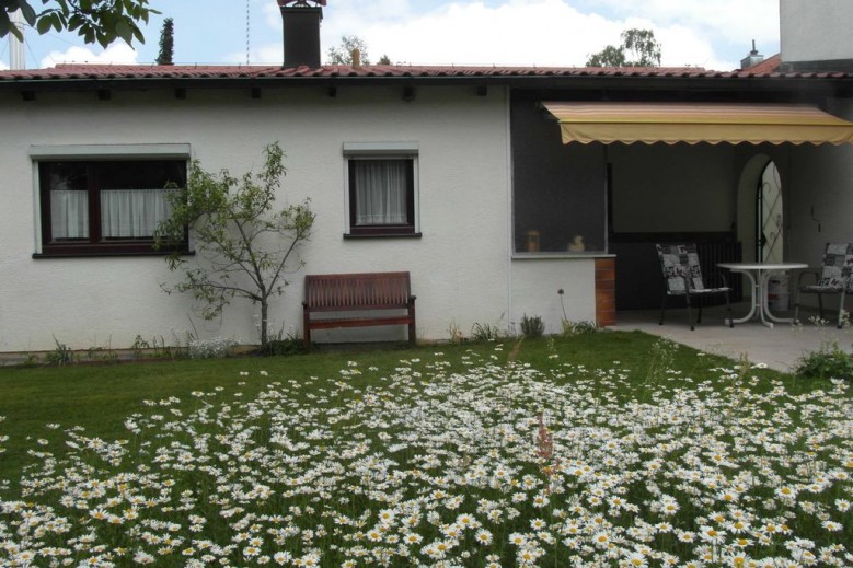 Ferienwohnung  im Grünen