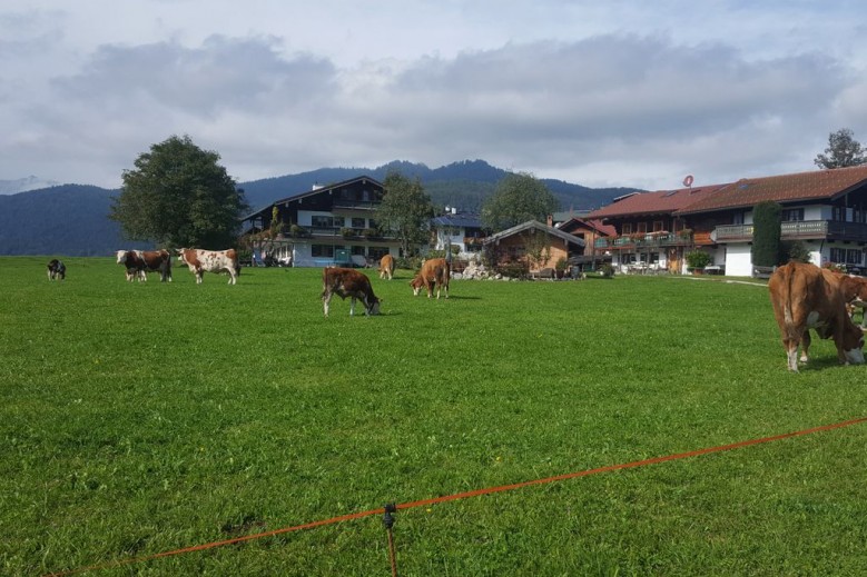 Ferienwohnung Max Hofreiter