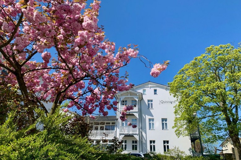 Ferienwohnung mit Meerblick und Sauna (11)