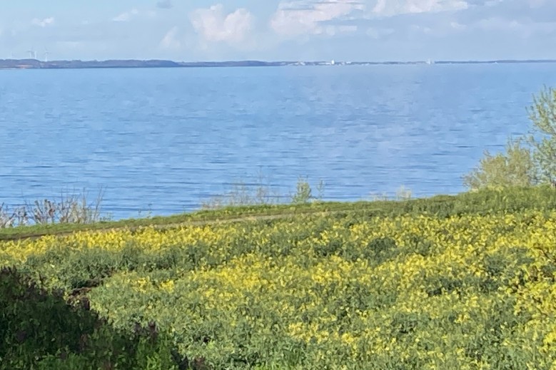 Ferienwohnung mit Meerblick