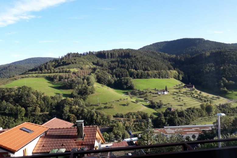 Ferienwohnung Panorama