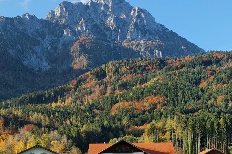 Ferienwohnung Reiter