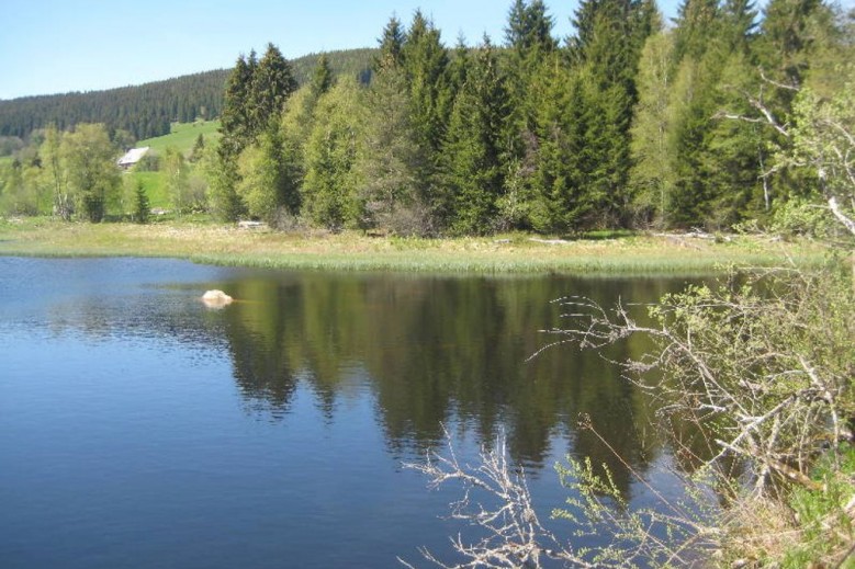 Ferienwohnung Schluchsee Eisenhauer