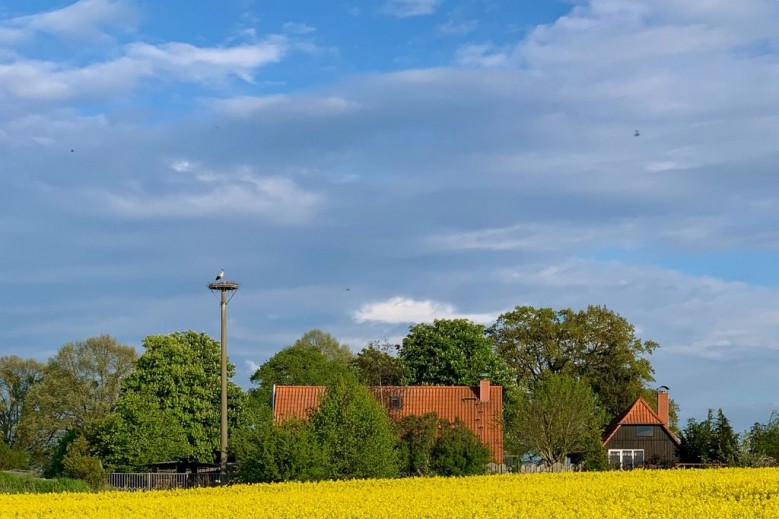 Ferienwohnung Segeln und Angeln