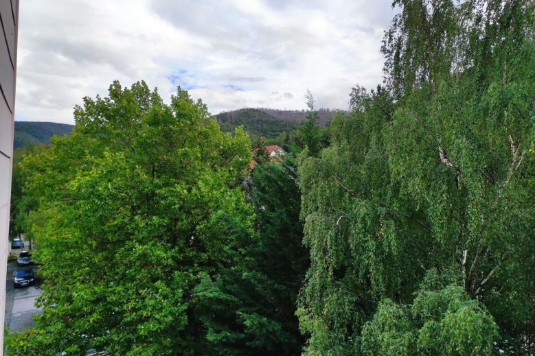 Ferienwohnung Waldwiese