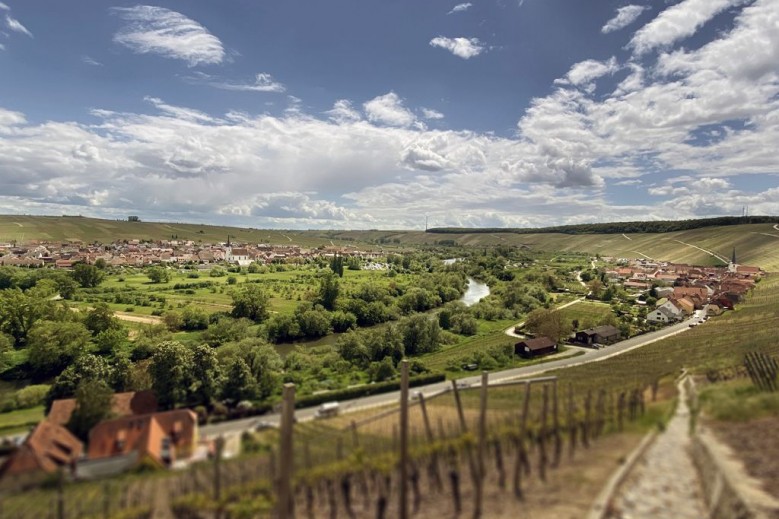 Ferienwohnung Weininsel