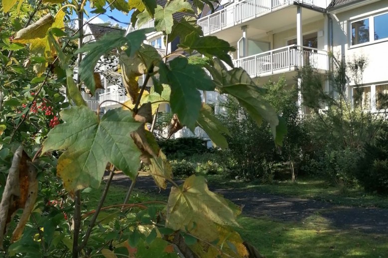 Ferienwohnungen am See in Mecklenburgs Mitte