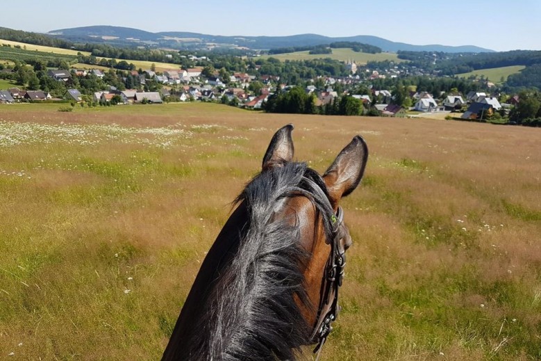 Ferienwohnungen Gutshof Schirgiswalde