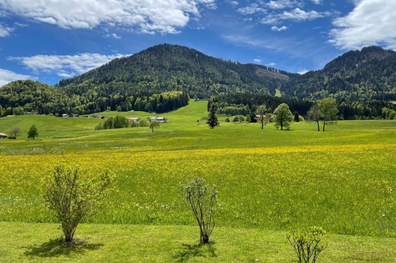 Ferienwohnungen Heillinger Gütl