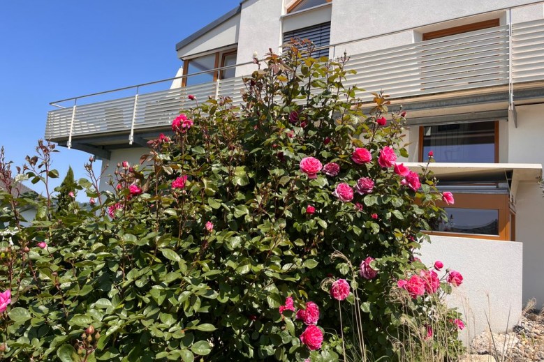 Ferienwohnungen Im Rosengarten