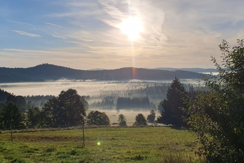 Ferienwohnungen Mende