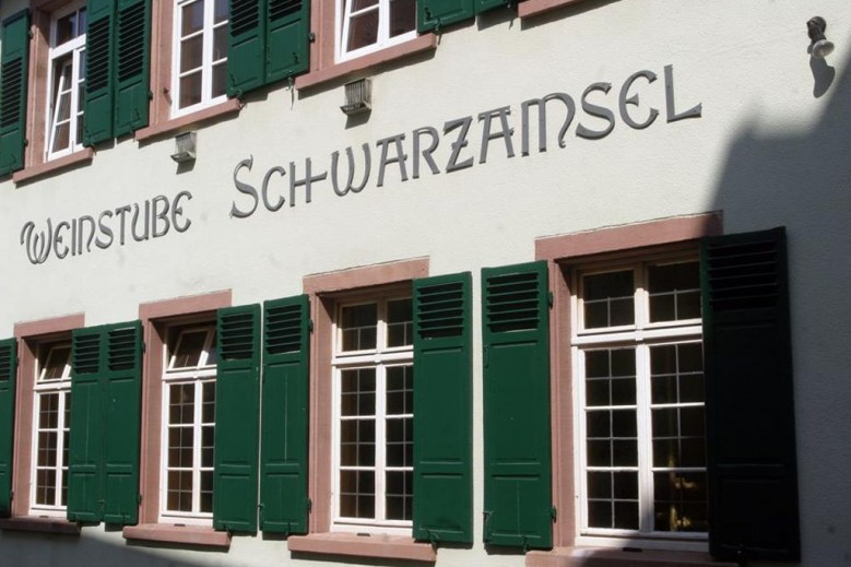 Ferienwohnungen Schwarzamsel