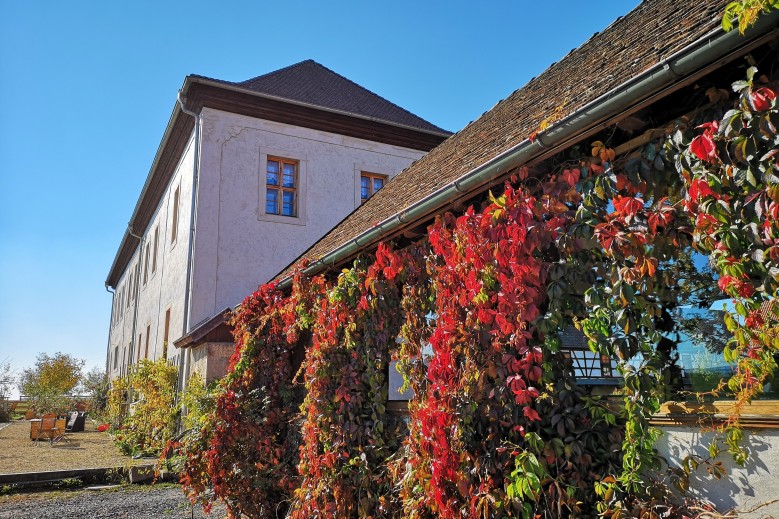 Gästezimmer für 1 bis 2 Personen