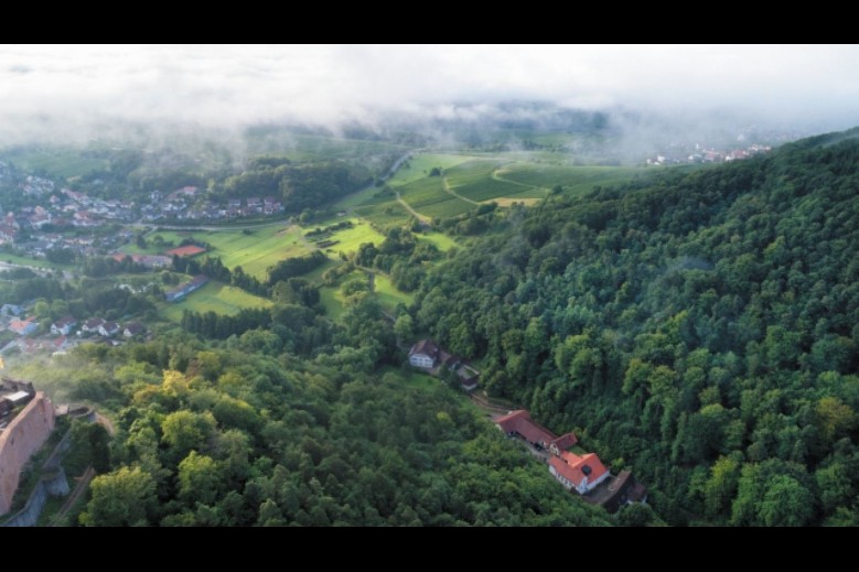 GAST.HAUS Porzelt -Ferien im Weingut - Wohnung 2