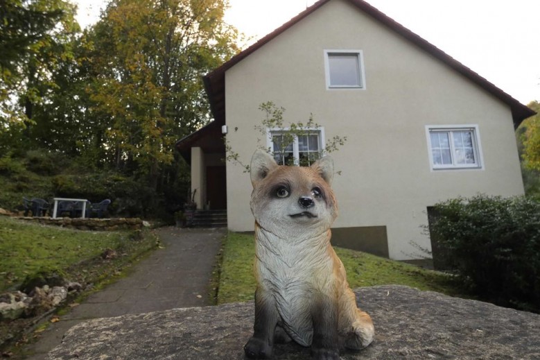 Goldener Fuchs in Moschendorf