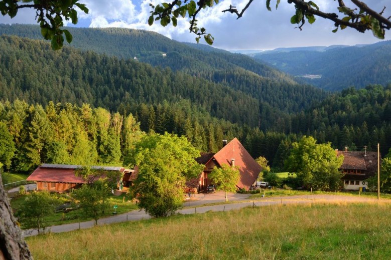 Hansjörgenhof Bioland-Hof