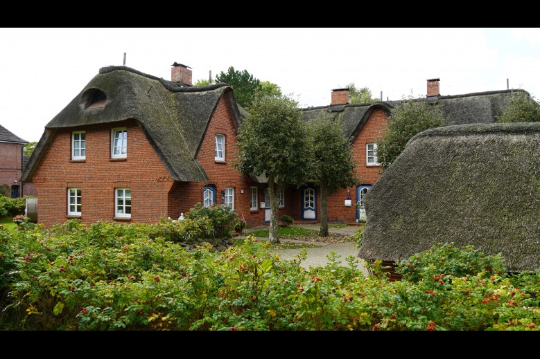 Haus Bornholm Whg 23