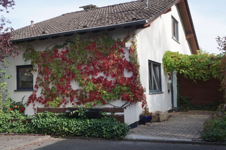 Haus Eifeldolomiten